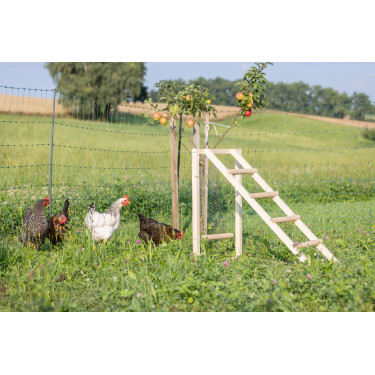 Torre di arrampicata per galline Kerbl Hobbyfarming Legno Beige Torre di arrampicata per galline Kerbl Hobbyfarming Legno Beige