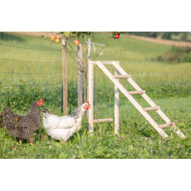 Torre di arrampicata per galline Kerbl Hobbyfarming Legno Beige Torre di arrampicata per galline Kerbl Hobbyfarming Legno Beige