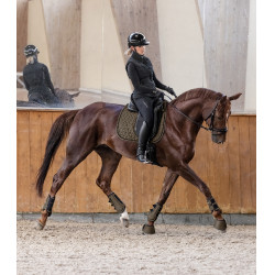 Stinchiere da dressage Waldhausen Comfort Fit Marrone verde