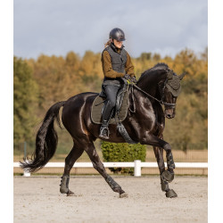 Stinchiere da dressage Waldhausen Comfort Fit Marrone verde