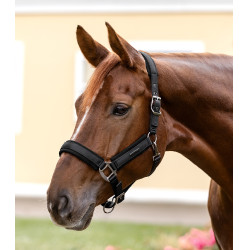 Capezza Waldhausen Soft Touch Nero