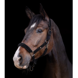 Capezzina Waldhausen St. Gallen Nero