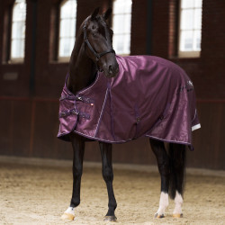 Coperta da paddock Imperial Riding Super-dry 100gr Fico Viola