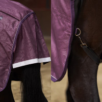 Coperta da paddock Imperial Riding Super-dry 50gr Fico Viola