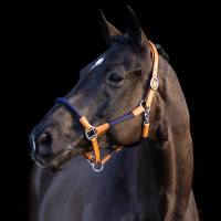 Capestro HV Polo Franka Blu marino / rosa Capestro HV Polo Franka Blu marino / rosa