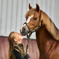 Capezzina Imperial Riding Rebel Verde oliva