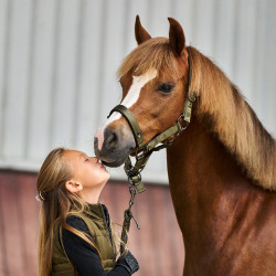 Capezzina Imperial Riding Rebel Verde oliva