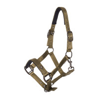 Capezzina Imperial Riding Rebel Ballerina Viola