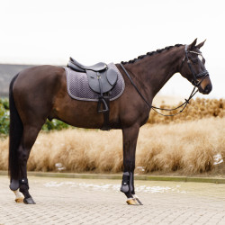 Sottosella Imperial Riding Shadow GP