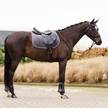 Sottosella Imperial Riding Shadow GP
