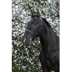 Bride Riding World Nero Bride Riding World Nero