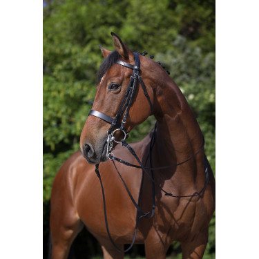 Bride Riding World Nero Bride Riding World Nero