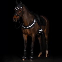 Cuffia antimosche Imperial Riding Luminous Nero Cuffia antimosche Imperial Riding Luminous Nero