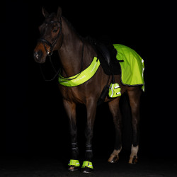 Scaldapiedi per staffe Imperial Riding Reflective confezione da 2 Giallo
