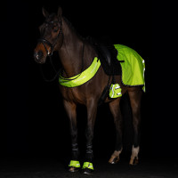 Collare da caccia Imperial Riding riflettente Giallo Collare da caccia Imperial Riding riflettente Giallo