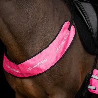 Collare da caccia Imperial Riding riflettente Rosa