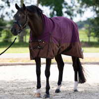 Coperta da esterno Imperial Riding Customized High Neck 200 g Bordeaux / marrone chiaro Coperta da esterno Imperial Riding Customized High Neck 200 g Bordeaux / marrone chiaro