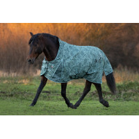 Coperta da paddock Imperial Riding Super-dry AOP 400 g Verde salvia