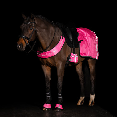 Coprischiena Imperial Riding riflettente Rosa neon