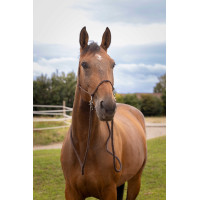 Capestro etologico con redini Rosso Capestro etologico con redini Rosso