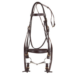 Bridon Excelsior Cavallo da Tiro Bridon Excelsior Cavallo da Tiro