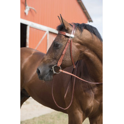 Bridon Randol'S Due Uno