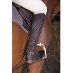 Mini-chaps Equithème in pelle Marrone