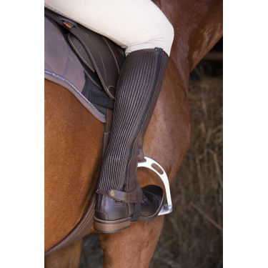 Mini-chaps Equithème in pelle Marrone