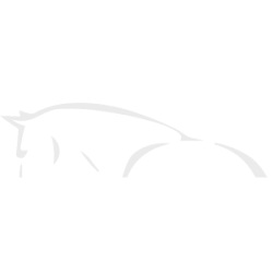 Spazzola per criniera Hippotonic Antimicrobica Spazzola per criniera Hippotonic Antimicrobica