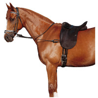 Redine elastica regolabile Redine elastica regolabile