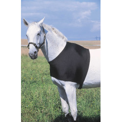 Protezione per spalle Equithème Protezione per spalle Equithème