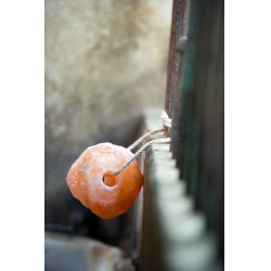 Pietra di sale Hippotonic dell'Himalaya