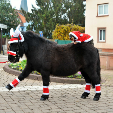 Cuffia natalizia con orecchie a forma di corna di renna Cuffia natalizia con orecchie a forma di corna di renna