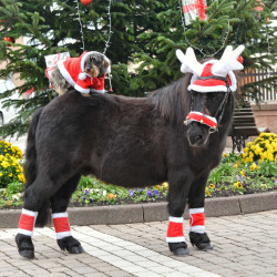 Cuffia natalizia con orecchie a forma di corna di renna Cuffia natalizia con orecchie a forma di corna di renna