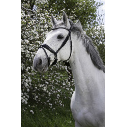 Bridon Norton Pro Strass Nero Bridon Norton Pro Strass Nero