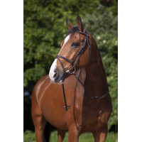 Briglia Riding World Capezzina combinata Avana Marrone Briglia Riding World Capezzina combinata Avana Marrone