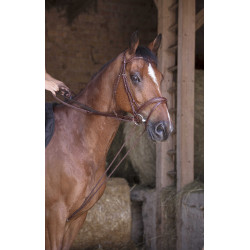 Redini tedesche in cuoio / corda Norton Pro Avana Marrone Redini tedesche in cuoio / corda Norton Pro Avana Marrone