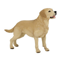 Figure labrador PAPO Figure labrador PAPO