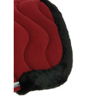 Ammortizzatore dorsale Equithème Jump Pro Bianco / bianco lucido