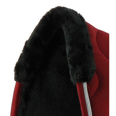 Ammortizzatore dorsale Equithème Jump Pro Bordeaux Ammortizzatore dorsale Equithème Jump Pro Bordeaux