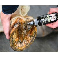 Olio di cade Elfo-Cure del... Olio di cade Elfo-Cure del...