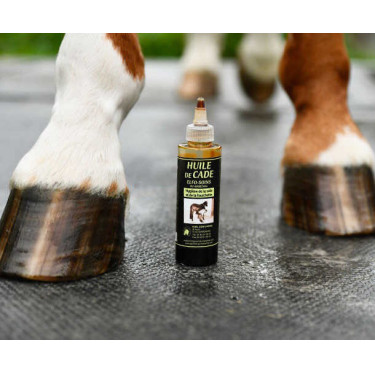Olio di cade Elfo-Cure del Maniscalco Olio di cade Elfo-Cure del Maniscalco
