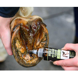 Olio di cade Elfo-Cure del Maniscalco Olio di cade Elfo-Cure del Maniscalco