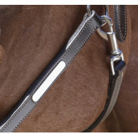 Capezza in cuoio Norton Pro Grooming Avana Marrone Capezza in cuoio Norton Pro Grooming Avana Marrone