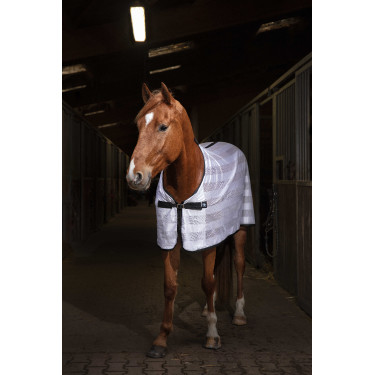 Camicia Riding World Mesh Bianco Camicia Riding World Mesh Bianco