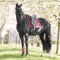 Sottosella Imperial Riding Josie Dressage Fico Viola Sottosella Imperial Riding Josie Dressage Fico Viola