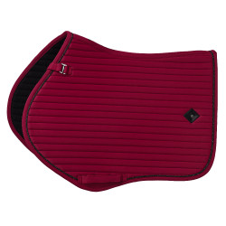 Sottosella Imperial Riding Josie GP Fico Viola