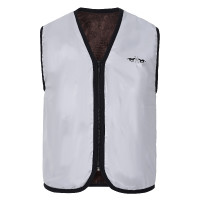 Gilet da equitazione senza maniche riflettente HV Polo Hi-Viz Argento / riflettente Gilet da equitazione senza maniche riflettente HV Polo Hi-Viz Argento / riflettente