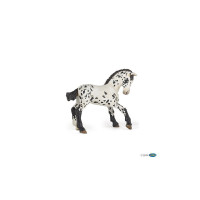 Figurina Puledro Appaloosa...