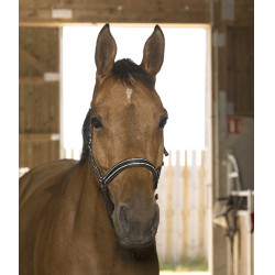 Capestro Norton Reflective Nero Capestro Norton Reflective Nero